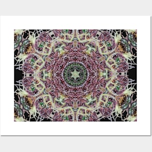 Herbal Mandala Posters and Art